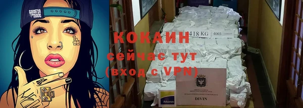 шишки Бронницы