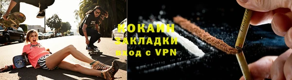 шишки Бронницы