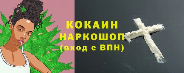 дурь Бородино
