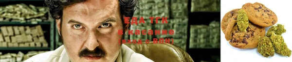 дурь Бородино