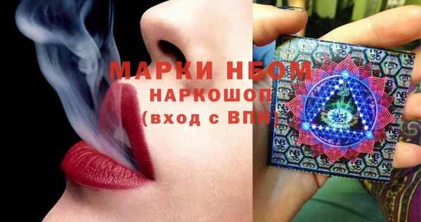 шишки Бронницы