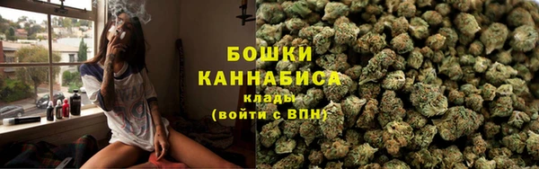 шишки Бронницы