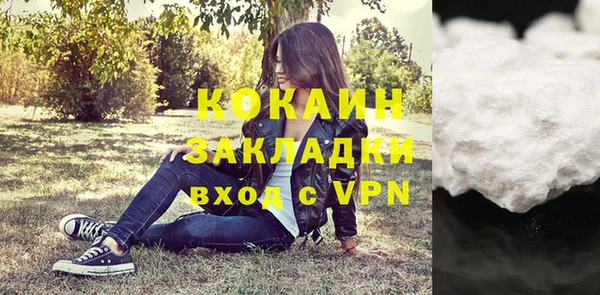дурь Бородино