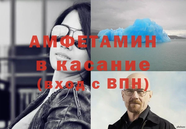 шишки Бронницы