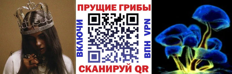 купить наркотик  Кострома  Псилоцибиновые грибы Psilocybe 
